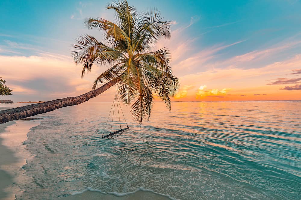 A breathtaking tropical sunset view of a beach in the Bahamas, captured from a panoramic perspective. The image showcases the stunning golden hues of the setting sun, which contrast with the turquoise waters of the calm sea. The white sand beach is visible, framed by palm trees and a beach swing or hammock, creating a sense of relaxation and tranquility.