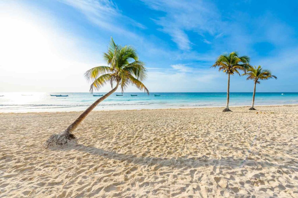 A stunning tropical landscape featuring a serene beach, palm trees, and white sand. The image captures the peaceful atmosphere of a secluded oasis, with the sound of waves gently crashing on the shore.